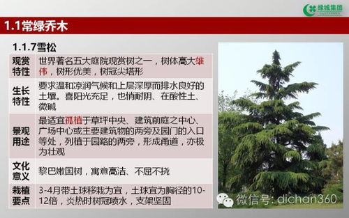 绿城集团园林软景苗木图谱 全套