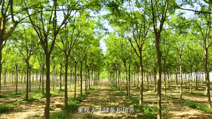 《发现品牌》播出通告 | 广野园林绿化:城市点缀创造家